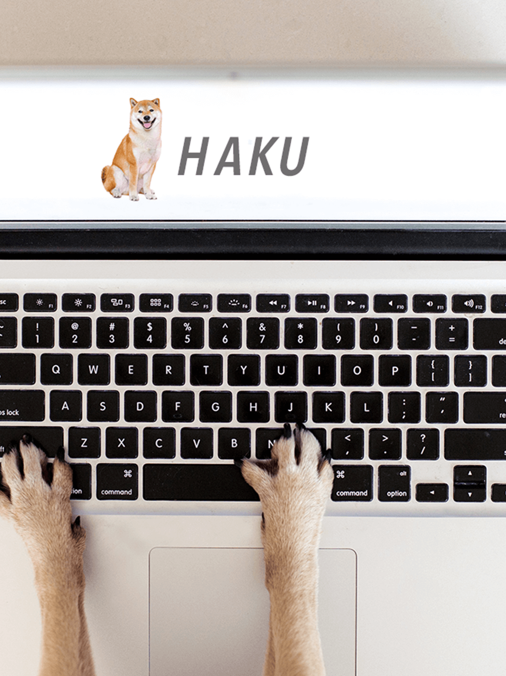 一般社団法人獣医キャリア教育支援機構