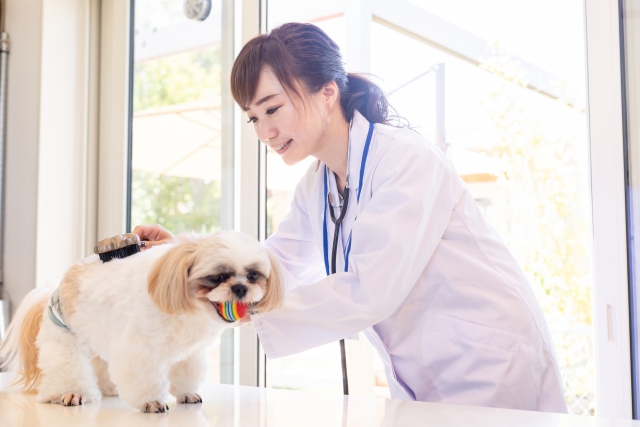 一般社団法人獣医キャリア教育支援機構