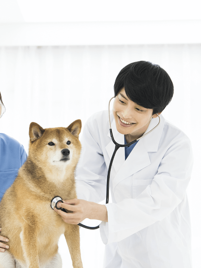 一般社団法人獣医キャリア教育支援機構