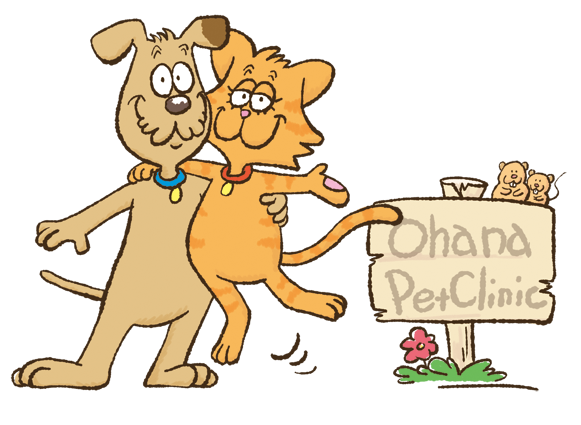 一般社団法人獣医キャリア教育支援機構