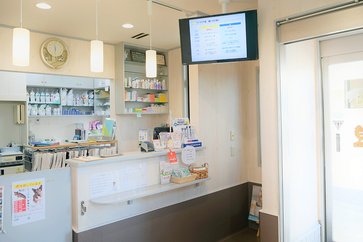 一般社団法人獣医キャリア教育支援機構