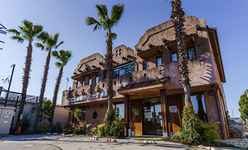 一般社団法人獣医キャリア教育支援機構