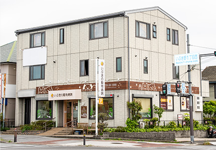 一般社団法人獣医キャリア教育支援機構