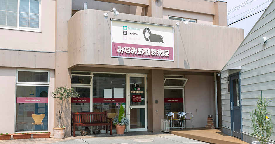 一般社団法人獣医キャリア教育支援機構