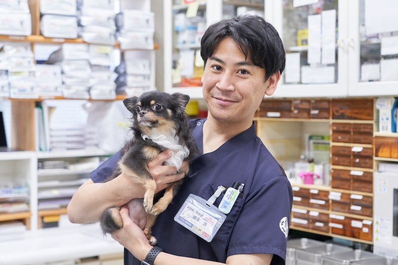 一般社団法人獣医キャリア教育支援機構