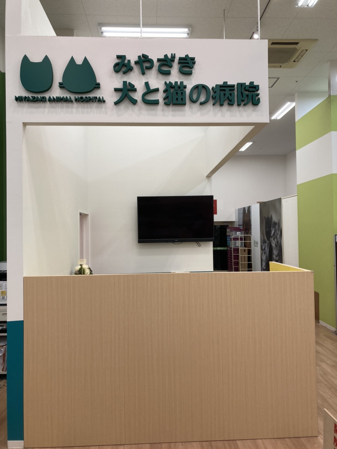 一般社団法人獣医キャリア教育支援機構