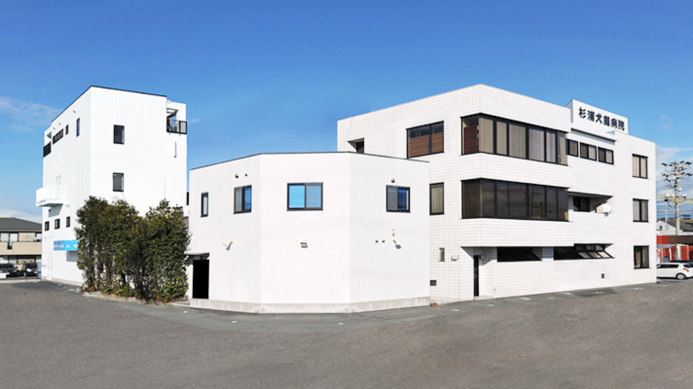 一般社団法人獣医キャリア教育支援機構