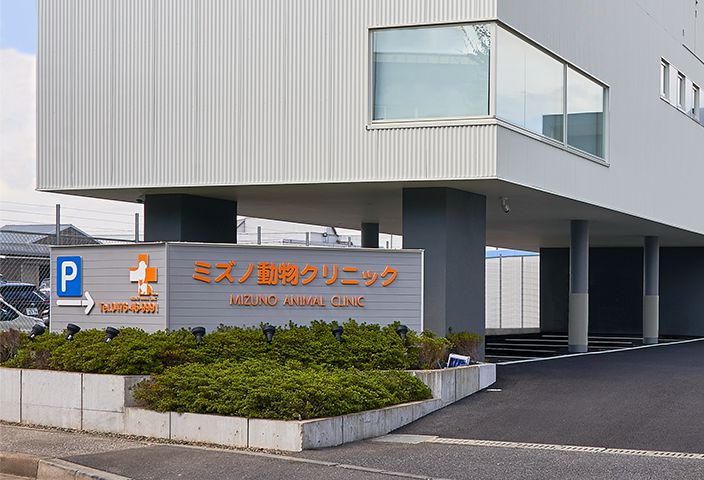 一般社団法人獣医キャリア教育支援機構