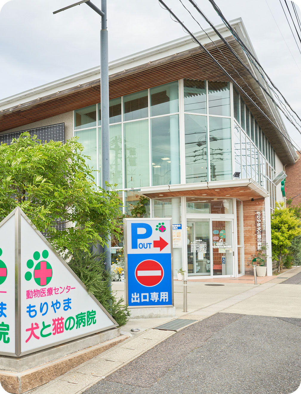 一般社団法人獣医キャリア教育支援機構